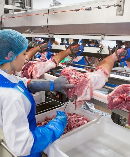 meat-processing-deboflex-deboning-line