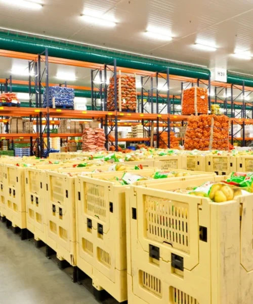 vegetable-containers-at-the-cold-warehouse-1024x683